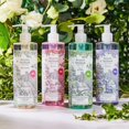 thumbnail image 3 of True Rose Hand Wash by Woods of Windsor Woods of Windsor Model, 3 of 3