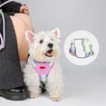 thumbnail image 4 of PEONAVET Polyester Pets Leash Pet Leash Pet Sleeveless Garment Style Braces Reflective Breathable Dog Leash Cats Leash Suitable for Daily Cats and Dog Walking, 4 of 6