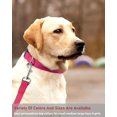 thumbnail image 7 of Minzimin 1Pcs Reflective Dog Collar with Buckle Adjustable Safety Nylon Collars for Small Medium Large Dogs, 7 of 7