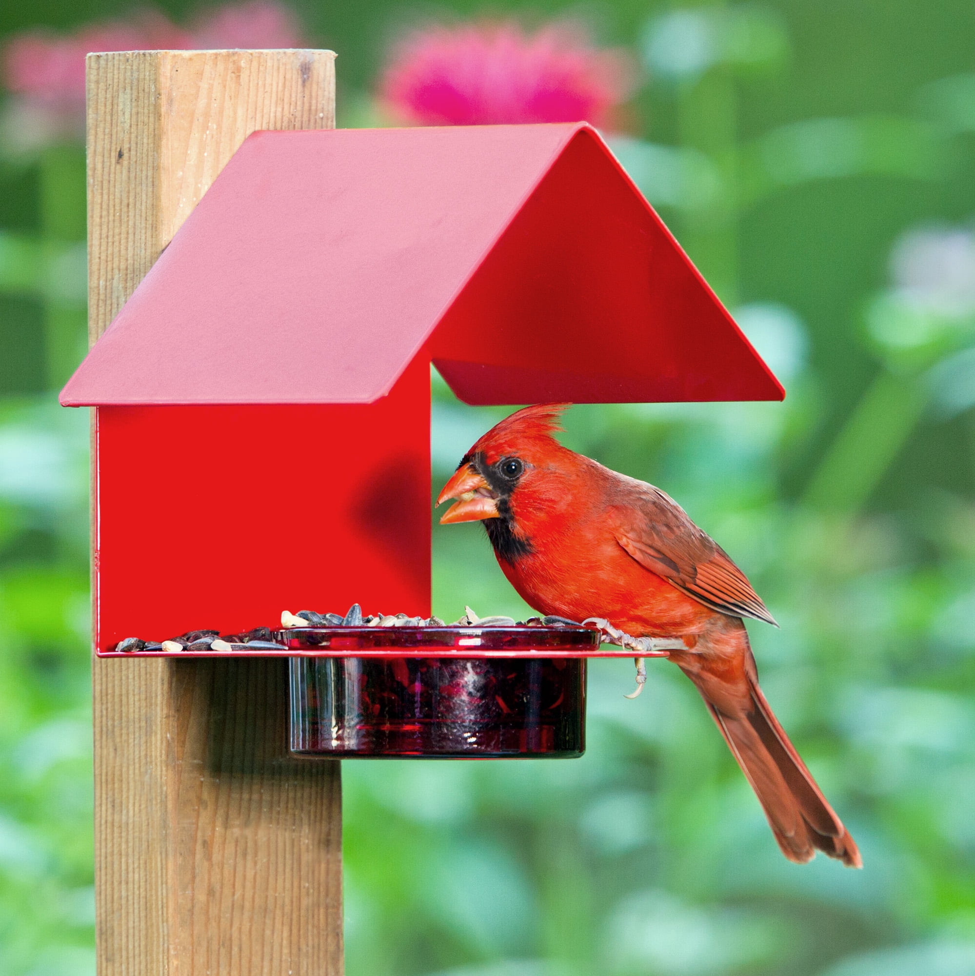Mosaic Birds Recycled Glass & Metal Bird Feeder Outdoor - Hanging Bird House Feeder for Oriole, Finch - Red