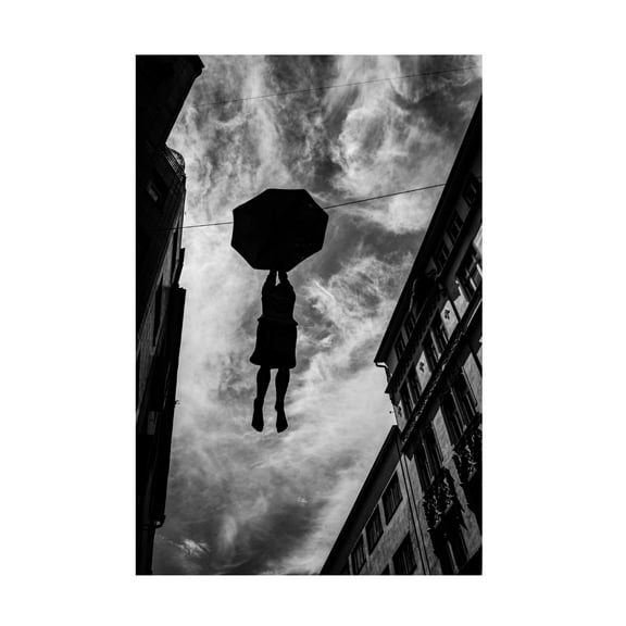 Trademark Fine Art Wille Roos Hanging In There Canvas Wall Art