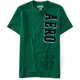 thumbnail image 1 of Aeropostale - Camiseta gráfica para hombre con fieltro vertical, verde, mediana Aeropostale Camiseta gráfica, 1 of 1
