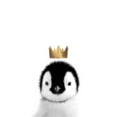 thumbnail image 3 of Straatsma, Leah 12x14 Black Modern Framed Museum Art Print Titled - Crown Penguin, 3 of 5