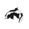 thumbnail image 1 of Bouteille en Peluche Jouet Mouffette - Noir, 1 of 1