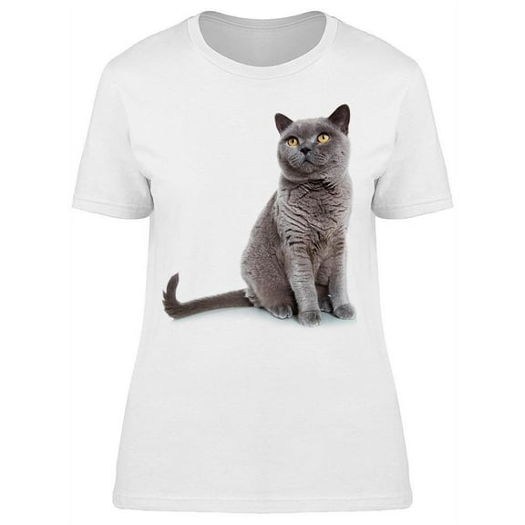 British Blue Cat Looking Up T-Shirt Women -Image by Shutterstock, Female Small