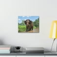 thumbnail image 3 of Hunting Asian Elephant on River Print Animal Wall Art Wildlife Canvas Prints Wall Art Ready to Hang Unframed, 3 of 18
