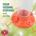thumbnail image 6 of Perky-Pet Fruit Trio Oriole Nectar Feeder - 30 oz, 6 of 8