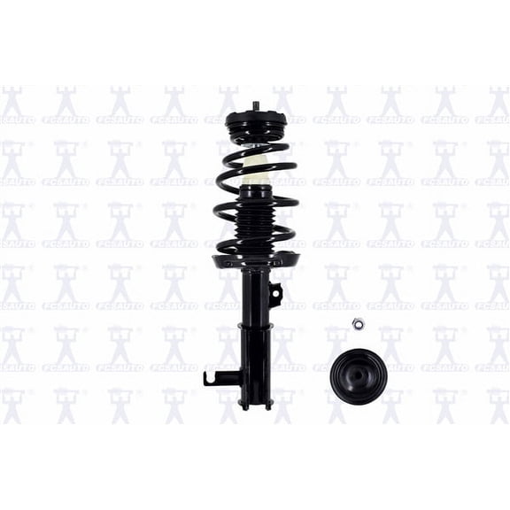 Suspension Strut and Coil Spring Assembly