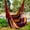 Colorful, variant on Mouliraty Outdoor Chair Canvas Hanging Chair Without Pillow And Cushion Indoor Outdoor Garden Furniture Hammocks