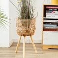 thumbnail image 4 of YAOMOBB Flowerpot Rack Weather resistant Flower Stand Free Standing Bonsai Rack for Living Room, 4 of 5