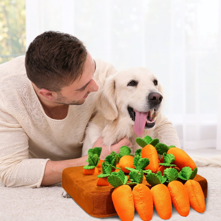 The Carrot Farm Carrot Farm Dog Toy Creative Plush Vegetable Field Pull  Radish Toy Dog Interactive Toys Hide Food Toys - AliExpress