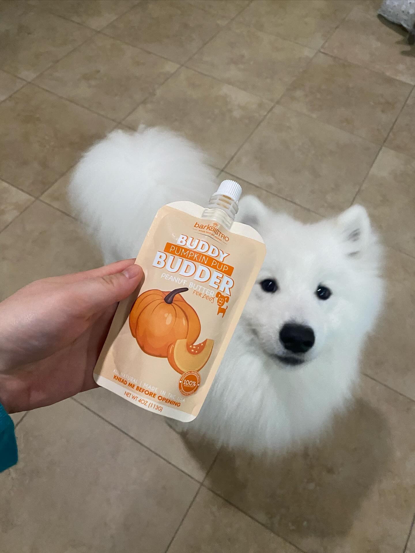 6pk Mixed Buddy Budder Squeeze Pack, Dog Peanut Butter, 4oz each