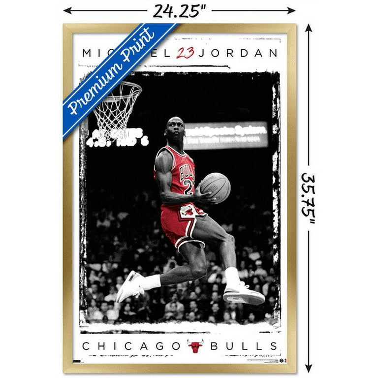 Michael Jordan - Dunk Wall Poster, 22.375