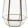 thumbnail image 3 of veasfak Irregular Geometric Terrarium Box Tabletop Plant Planter L 6.3 x 6.3 x 9.8 inch, 3 of 9