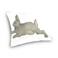 thumbnail image 2 of EREHome Rabbit Throw Pillow Case Vintage Cushion Cover 20x20 inches, 2 of 4