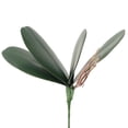 thumbnail image 1 of LCXmlly Fake Plant Home Decor Elegance: Simulation Phalaenopsis Orchid Leaves, 1 of 5