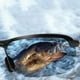 thumbnail image 3 of Montura negra que cambia de color, gafas de sol polarizadas de día y de noche, nuevas gafas de sol para hombre, gafas de pesca para coche, 3 of 3