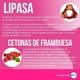 thumbnail image 5 of Lipoenzimas 90 Cápsulas, 5 of 9