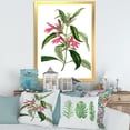 thumbnail image 3 of Designart 'Ancient American Flora VII' Traditional Framed Art Print, 3 of 4