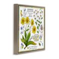 thumbnail image 3 of Stupell Industries Shabby Chic Chamomile Herb Uses Brown Floating Frame Canvas Art, 25 x 25, by Jane Maday, 3 of 8
