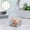 Clear M, variant on Hmgxay Clear Acrylic Storage Box, Transparent Toy Organizer Box with Plastic Lid, Versatile Candy Container for Gifts, Small Item Display Case