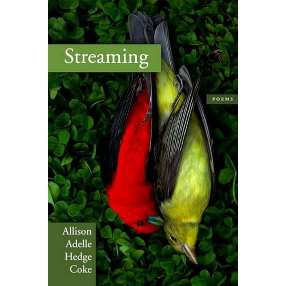 Pre-Owned Streaming (Paperback) 1566893755 9781566893756