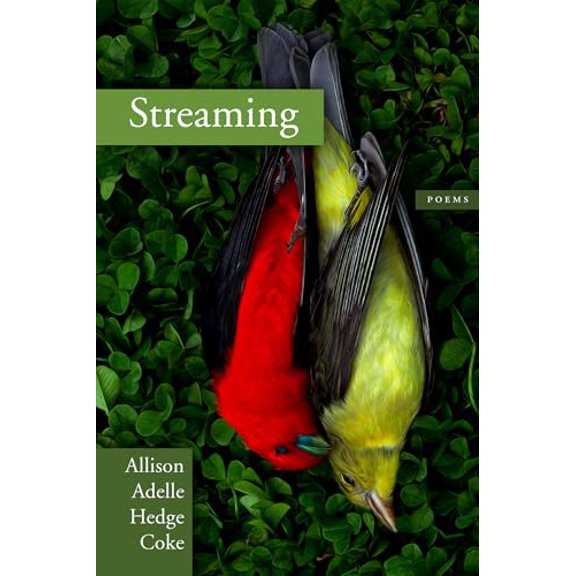 Pre-Owned Streaming (Paperback) 1566893755 9781566893756