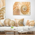 thumbnail image 4 of Designart Brown Nautilus Shell Pattern - Contemporary Throw Pillow - 18x18, 4 of 5