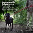 thumbnail image 6 of Regal Dog Products Small Red Waterproof Dog Collar and Leash Set | Heavy Duty Double Buckle & D Ring - 5'ft Leash | Adjustable Biothane Dog Collar | Chew Resistant Waterproof Collar for Dogs, 6 of 9