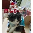 thumbnail image 3 of YOHAVEN Hand-Knitted Woolen Santa Claus Christmas Hats Pet Accessories for Cats and Dogs Holiday Party Photo Props Festive Costume Celebration, 3 of 3