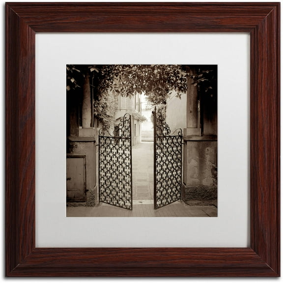 Trademark Fine Art "Venezia V" Canvas Art by Alan Blaustein, White Matte, Wood Frame