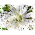 thumbnail image 2 of Young, Chamira 18x15 Gold Ornate Wood Framed with Double Matting Museum Art Print Titled - Floral in Bloom XXIII, 2 of 4