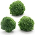 thumbnail image 2 of Bolas de musgo Marimo en vivo para acuarios y peceras | Decoración de acuarios naturales | Absorber impurezas | Apto para principiantes | Seguro para mascotas | Bolas gruesas de musgo de 4 cm, 2 of 8