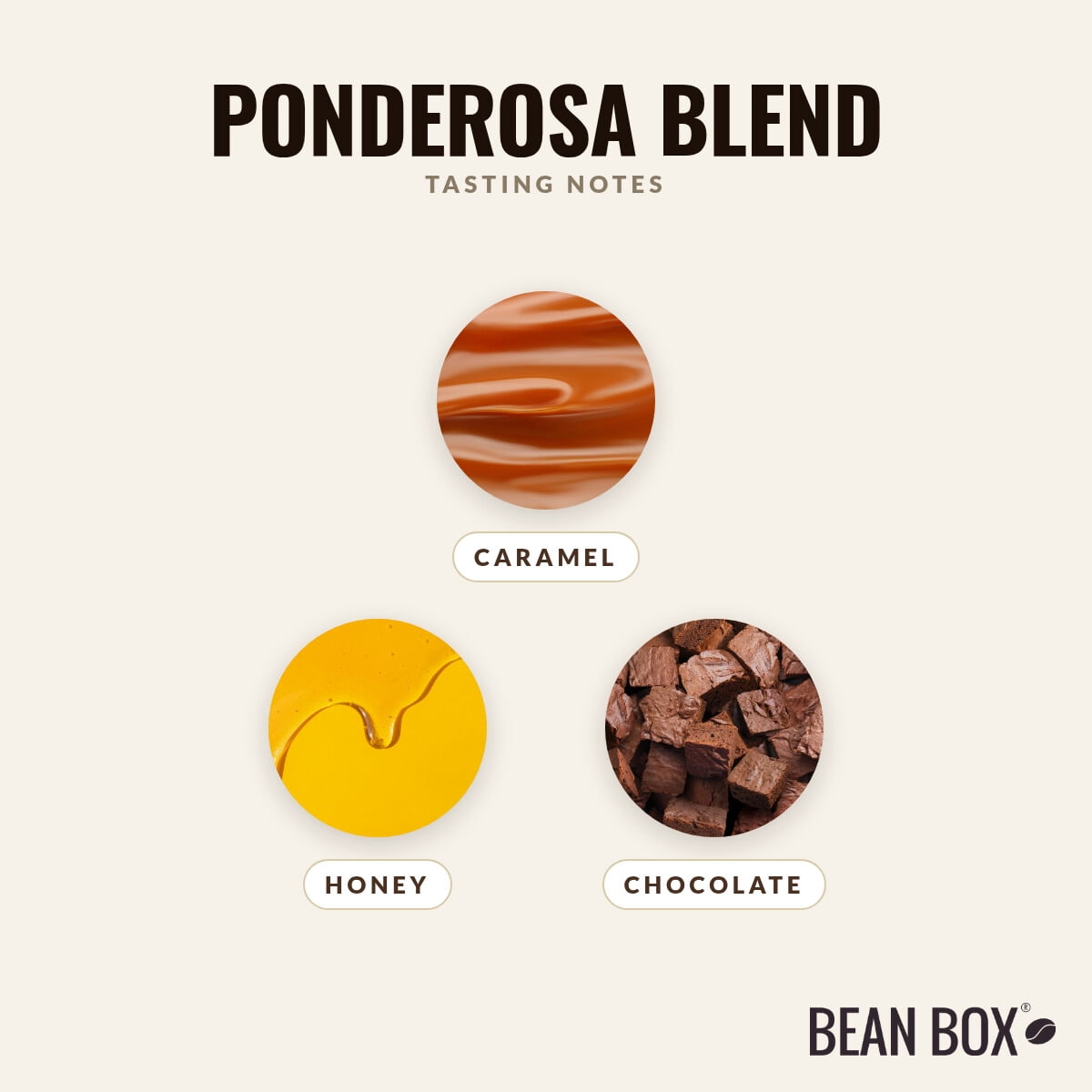 Ponderosa Blend - Roasted by Provision Coffee - Whole Bean Coffee - 12oz Bag