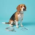 thumbnail image 2 of Vibrant Life Reflective Vinyl-Covered Trolley Cable Tie-Out for Dogs, XL, 60', 2 of 9