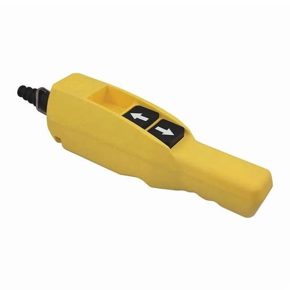 Dayton Pendant Station,2NO,Yellow 20C813