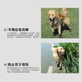 thumbnail image 3 of 4 Uds. De zapatos para perros grandes, impermeables, antideslizantes, calcetines, botines (5 rojos) Tmvgtek Para estrenar, 3 of 7