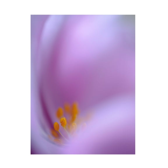 Canvas Wall Art - Jealousy 'Secret Dream' Wall Art for Living Room, Bedroom, or Office Décor by Trademark Fine Art - 14 x 19 Inches