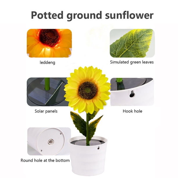 Girasol Solar Ground Light Interruptor automático LED Path Yard Lights para patio Ndcxsfigh Para estrenar