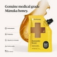 thumbnail image 4 of First Honey Manuka Honey MGO 360+ Pouch, Medical Grade with Immune Support Properties, 17g, 10 Pack, 4 of 7
