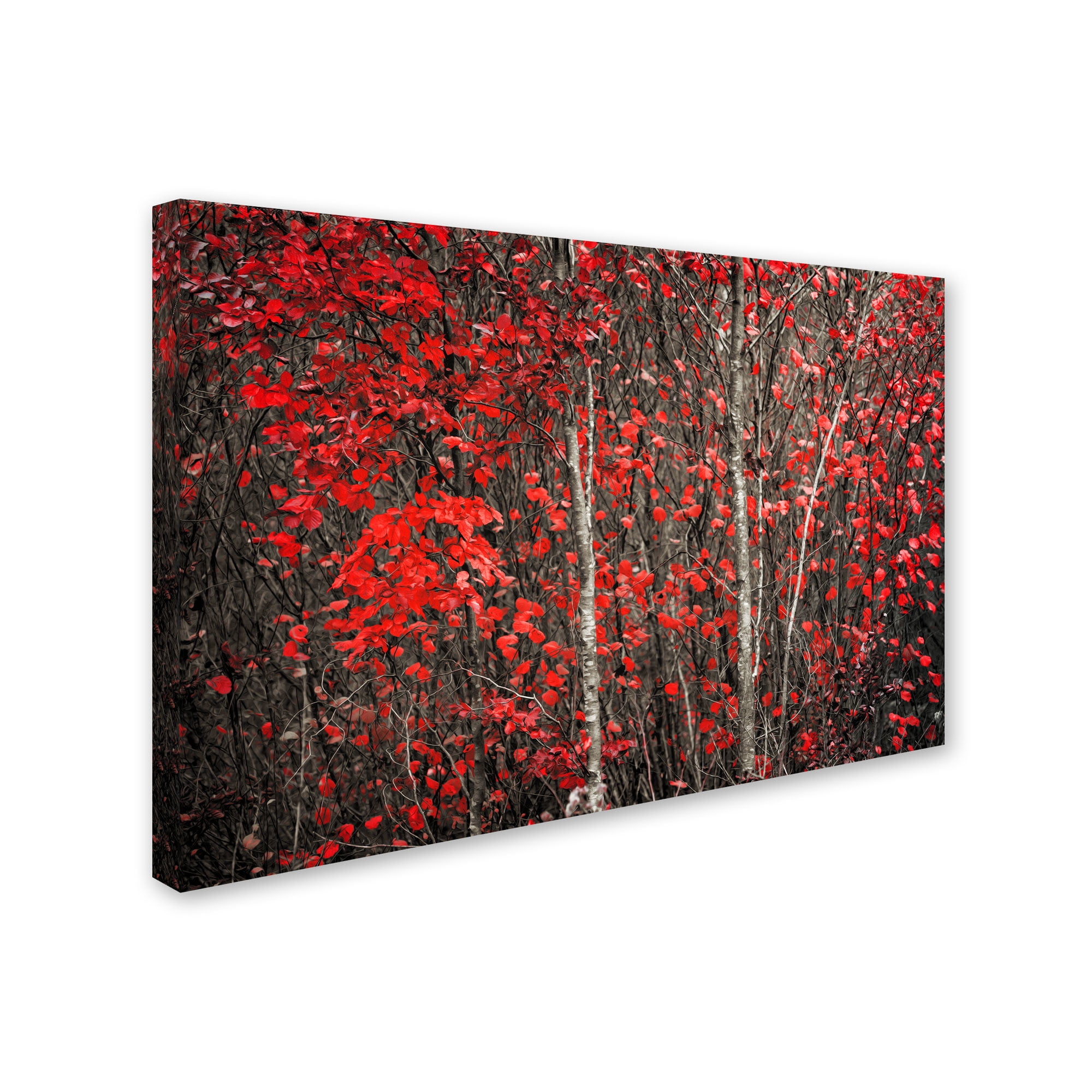 Trademark Fine Art "The Hush Before Winter" Canvas Art by Philippe Sainte-Laudy