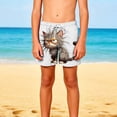 thumbnail image 1 of Pantalones cortos de playa para niños y niñas, de color liso, con estampado bonito, transpirables y con bolsillos, para verano, 1 of 9