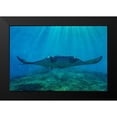 thumbnail image 2 of Fitzharris, Tim 14x11 Black Modern Framed Museum Art Print Titled - Reef manta rays-Penida Island-Indonesia, 2 of 5