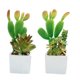 thumbnail image 1 of 2 uds simulación de planta de cactus suculenta bonsái pequeños adornos creativos macetas cuadradas plantas verdes artificiales, 1 of 5