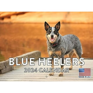 Blue heeler cheap gifts