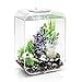 thumbnail image 3 of biOrb Life 15 Acrylic 4-Gallon Aquarium with White LED Lights Modern Compact Tank for Tabletop or Desktop Display, Transparent, 3 of 4