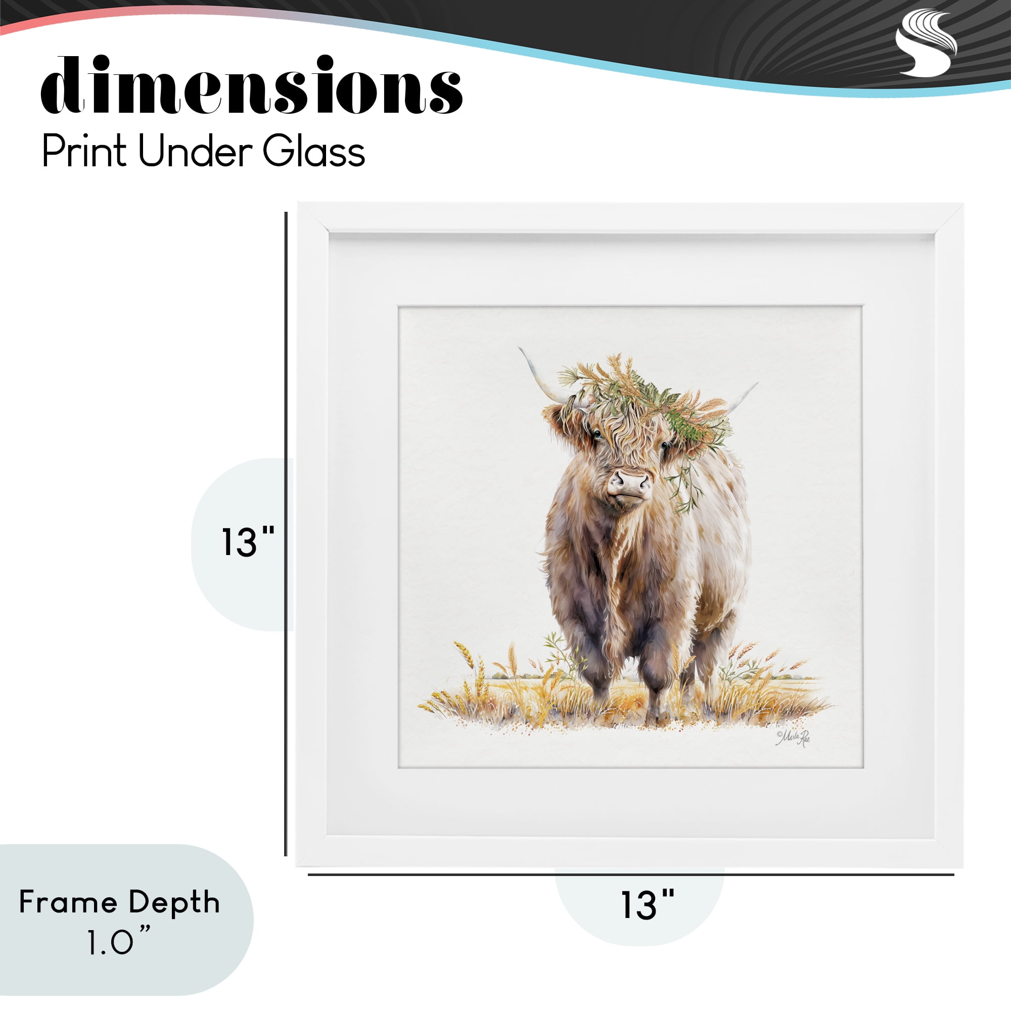 Stupell Industries Ollie the Highland Cattle White Framed Print Under Glass, design by Marla Rae