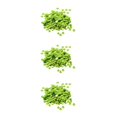 thumbnail image 4 of maskred Vibrant 400 Pcs Sequins Ronds en Vrac Couture Embellissement 7mm Vert 3ensemble, 4 of 6