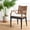 Brown/Black, variant on SAFAVIEH Gianni Arm Chair Brown/Black