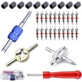 thumbnail image 1 of 34 piezas de herramientas para válvulas de neumáticos | Extractor de válvulas | Removedor de núcleo de válvula para reemplazo de automóviles | 10 tapas de válvula | 20 núcleos de válvula X ACTIVE Biensenido a ACTIVE, 1 of 5